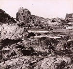 01−241−01